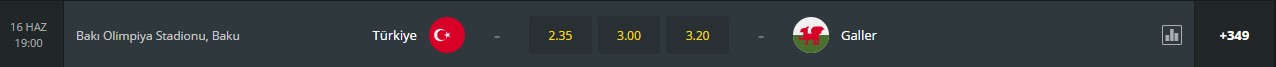Türkiye Galler Bahis Yap